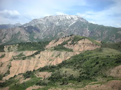 Katta Chimyon