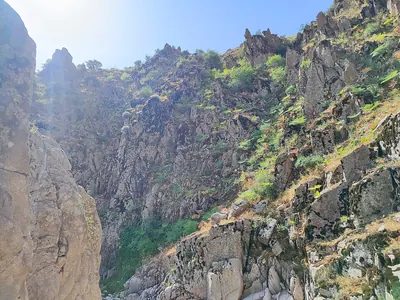 Samarqand