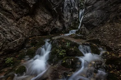 Gulkam sharsharasi va darasi