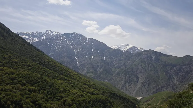 Ovchi cho'qqisi