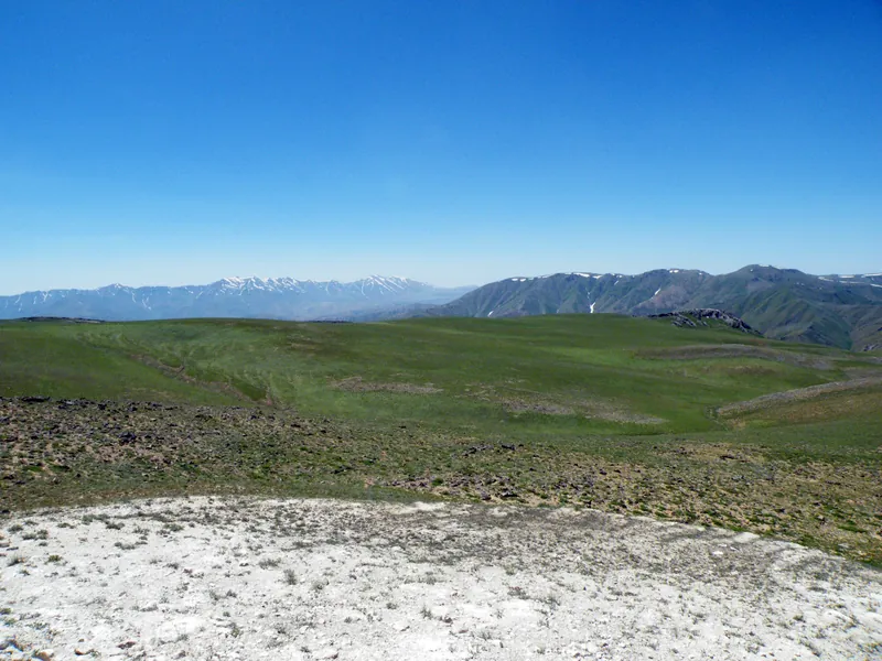 Qizilnura