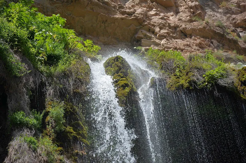 Sangardak sharsharasi