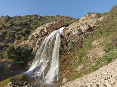 Qashqadaryo