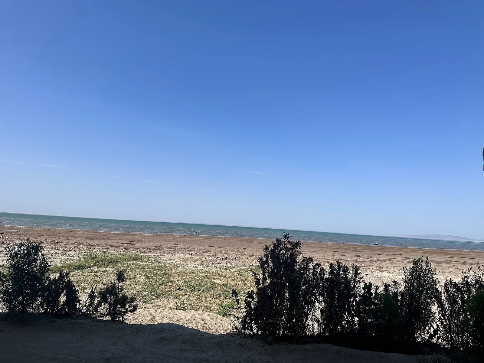 Tudako'l